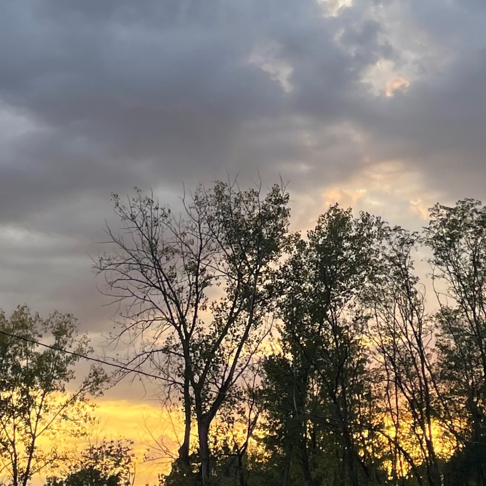 Meet your Posher, Abbie